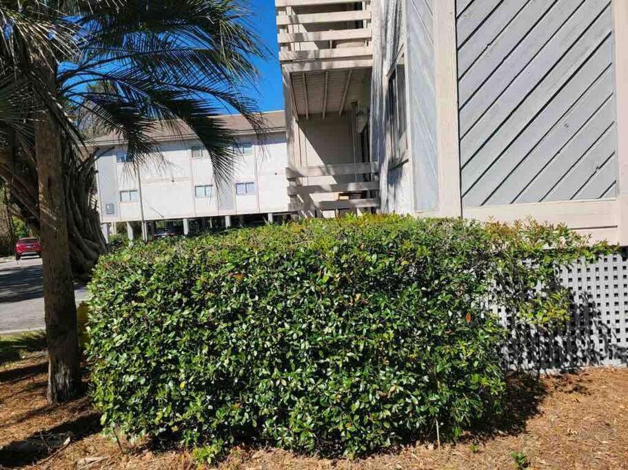 2022 Renovated 2-Bdrm Cozy, Lovely Condo W/Parking! Hilton Head Island Exterior foto